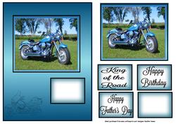 Harley Biker