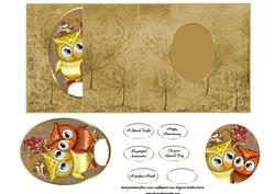 Owls Fold Back No Hole