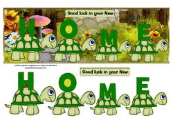 New Home Tortoises