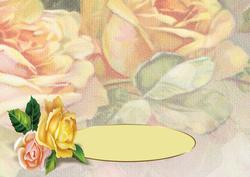 Ribbon Sash Roses Dl Insert