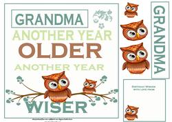 Grandma Wiser