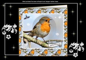 The Christmas Robin