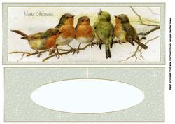 Robin Dl Card Front and Insert