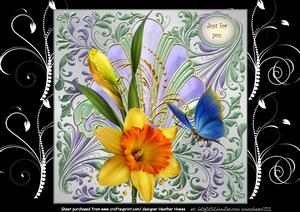 Daffodil Flourish