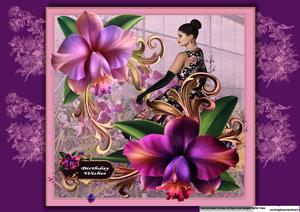 Orchid Beauty