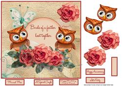 Having a Hoot