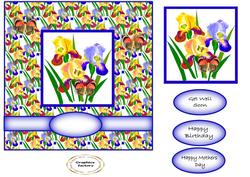 Iris and Butterflies