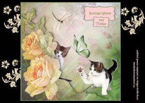 Cats and Flowers