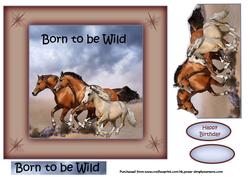 Born to Be Wild