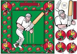 Cricket Framed