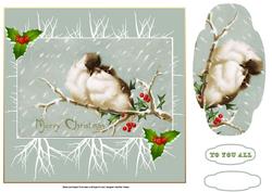 Robins