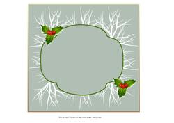 Robins Insert