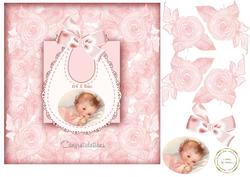 Baby Pink Roses