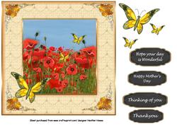 Framed Poppies