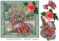 Rose Garden