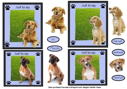 doggy toppers all occasions