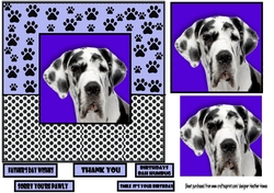 dalmation wishes