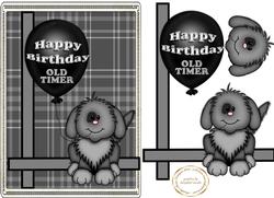 Happy Birthday Old Timer