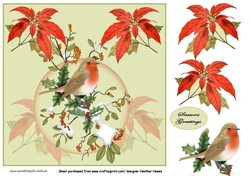 robins at christmas