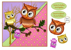 have a hoot