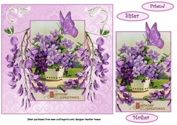 wisteria