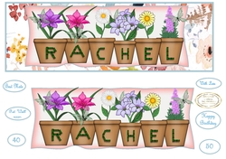 large dl pot plant names Rachel