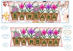 large dl pot plant names BARBARA