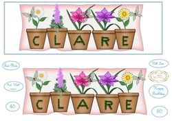 large dl pot plant names CLARE Different spelling