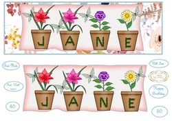large dl pot plant names JANE