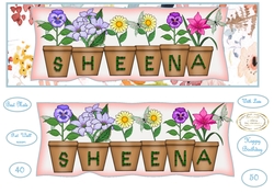 Sheena as requested