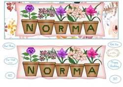 Norma