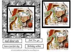 Cats Rule