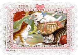 Cats Lace and Pearls
