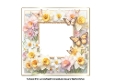 spring flowers and butterflies insert