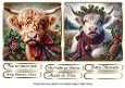 highland coos and tartan