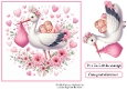 stork baby pink twin girls