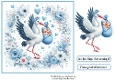 stork babyblue twin boys