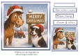 the christmas sign horse
