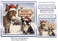 the christmas sign donkey