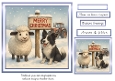 the christmas sign sheep