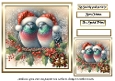 festive birds 7 pigeons
