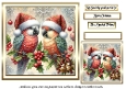 festive birds 8 parrots
