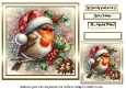 festive birds 9 robin