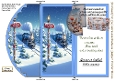 trifold polar express and money wallet