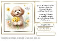 mothers day flowers cockapoo