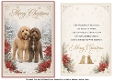 more christmas dogs 1 cockapoos