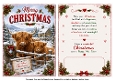 christmas coos
