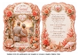 35th anniversary coral