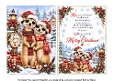 lovely couple meerkats