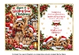 yorkies at christmas